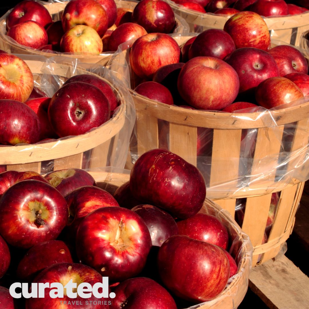 Curated Travel Magazine
